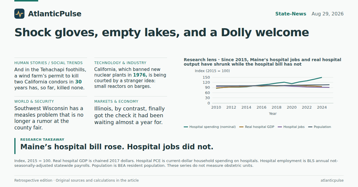 Editorial artwork: Shock gloves, empty lakes, and a Dolly welcome