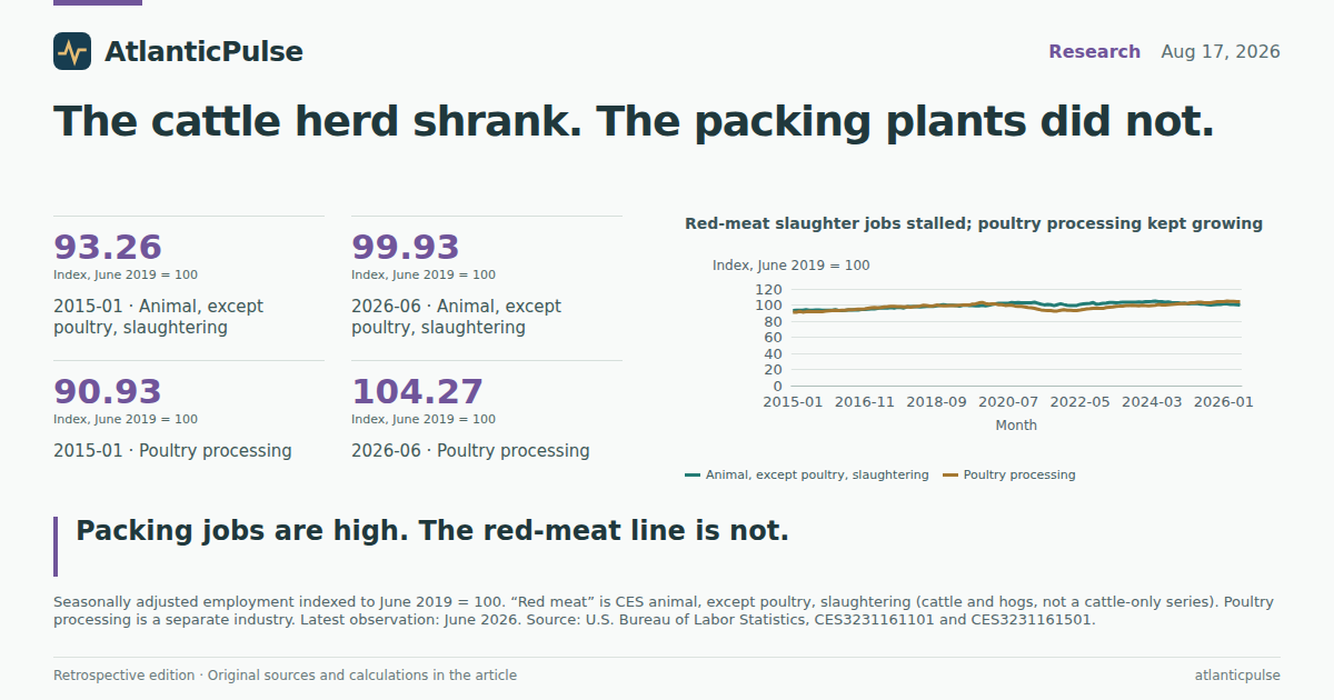 Editorial artwork: The cattle herd shrank. The packing plants did not.